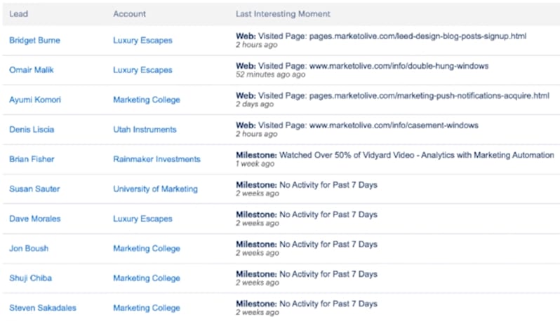 List of Hot Leads with Call and E-Mail Option in Marketo